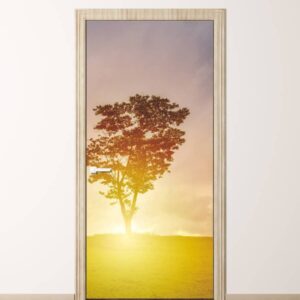 Naklejka na drzwi drzewo rozświetlone słońcem 5659