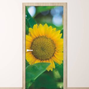 Naklejka na drzwi kwiat słonecznika 5389
